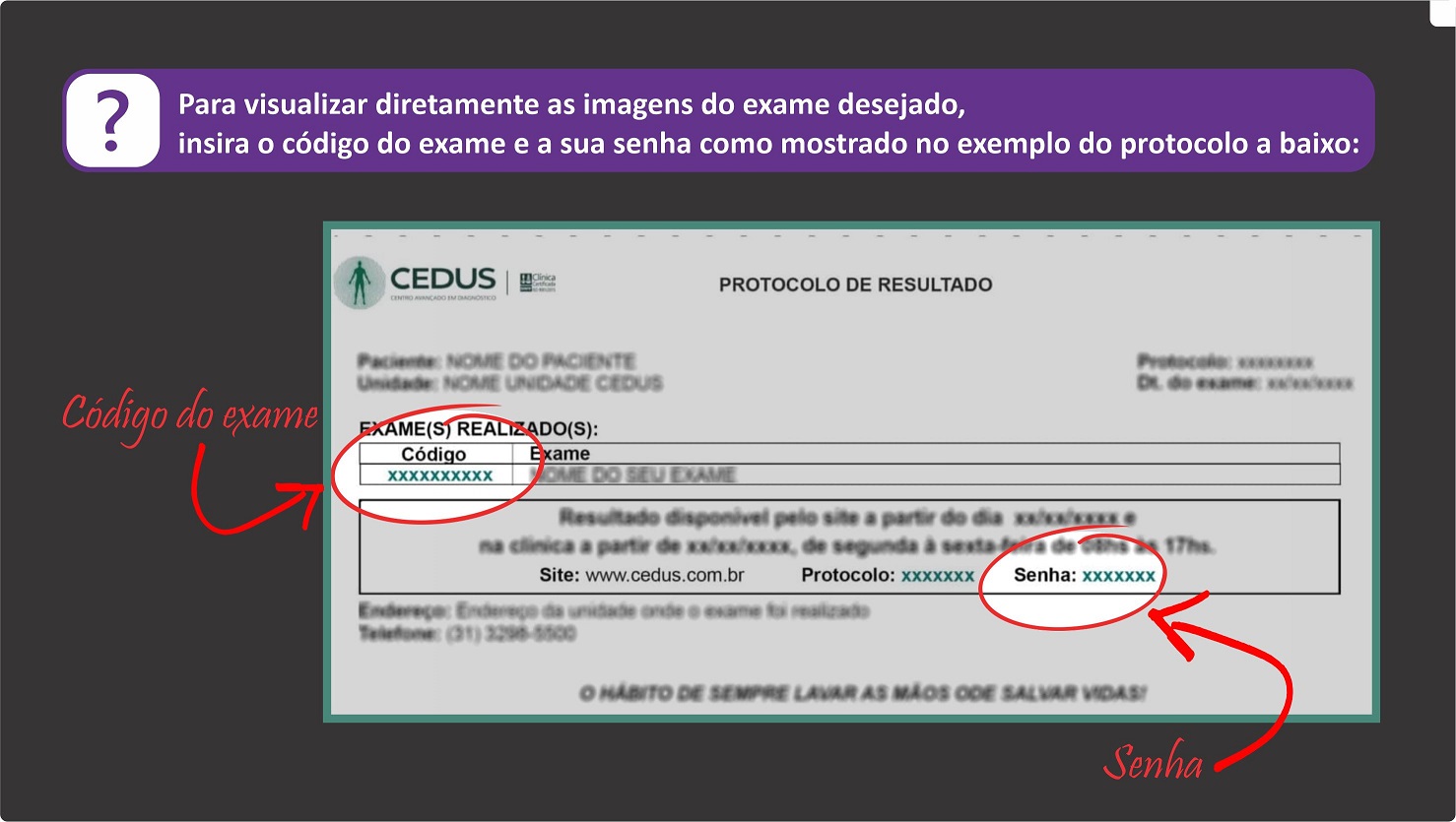 Instruções de Acesso ao Protocolo